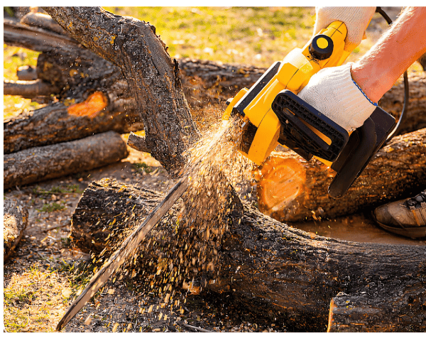 كيفية استخدام المنشار الكهربائي